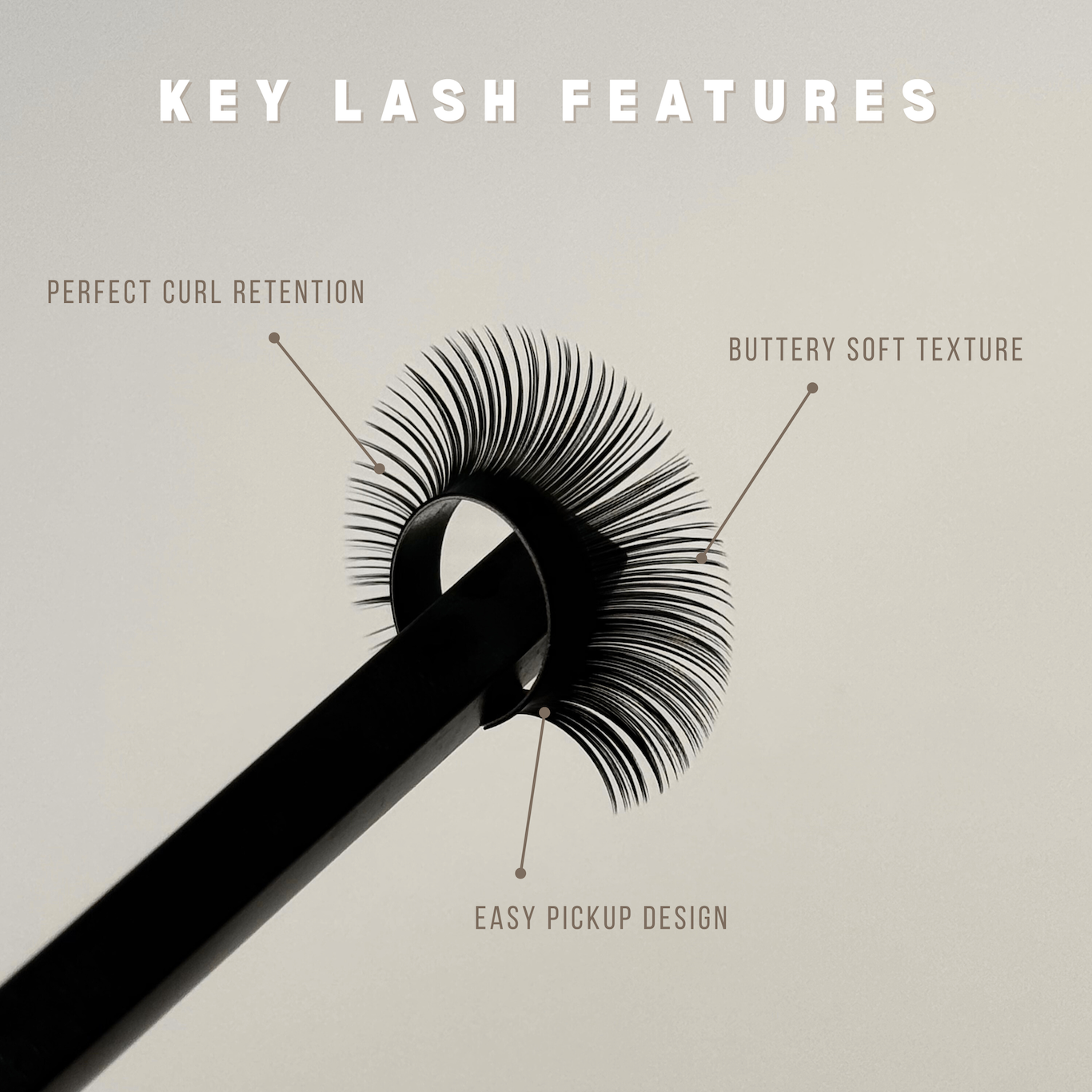lashes